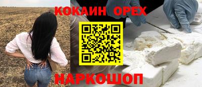 гашик Тулун