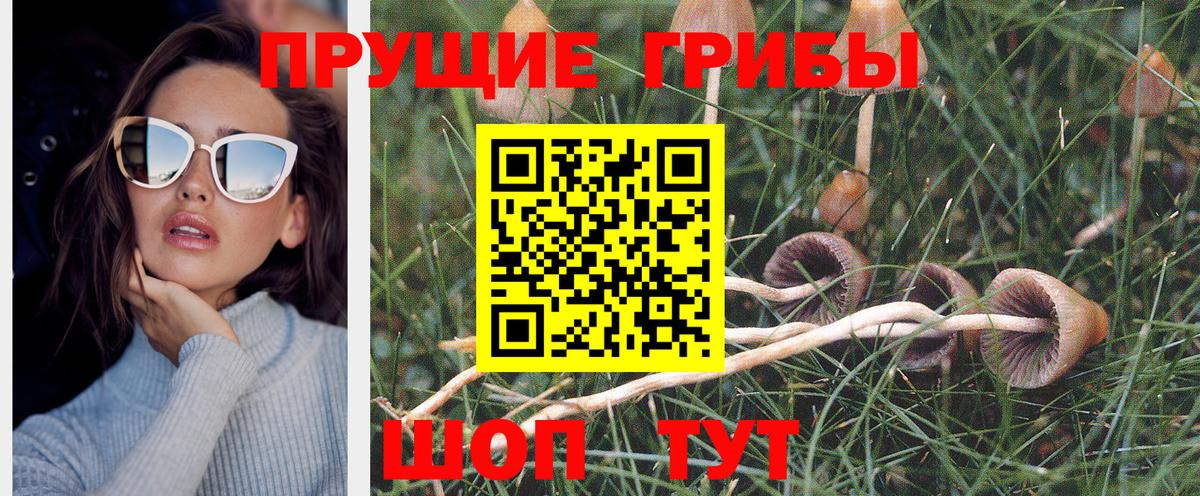 Псилоцибиновые грибы прущие грибы  Вход с VPN  Обнинск 