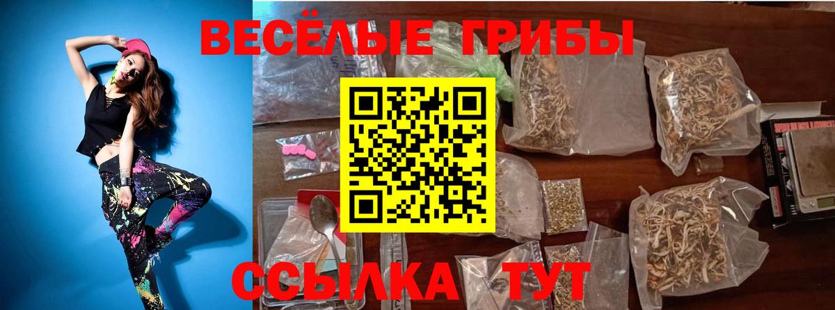 Псилоцибиновые грибы ЛСД Обнинск